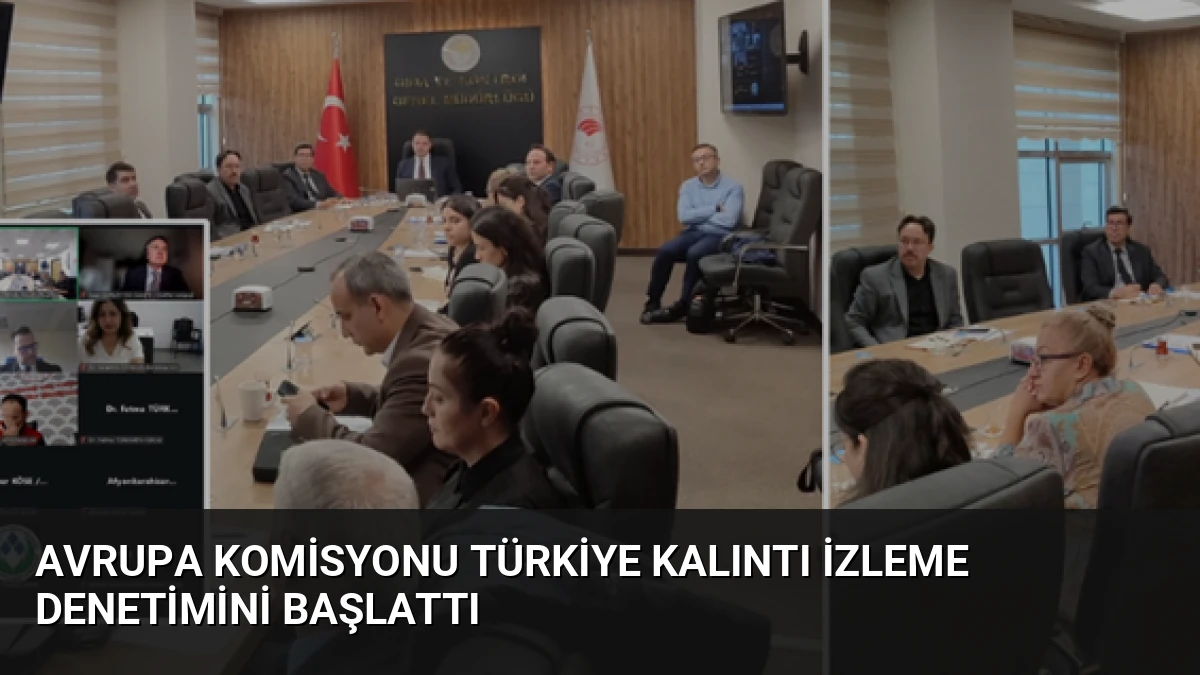 Avrupa Komisyonu Türkiye Kalıntı İzleme Denetimini Başlattı