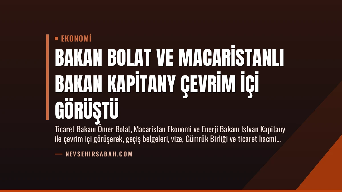 Bakan Bolat ve Macaristanlı Bakan Kapitany Çevrim İçi Görüştü
