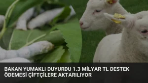 Bakan Yumaklı Duyurdu 1.3 Milyar TL Destek Ödemesi Çiftçilere Aktarılıyor