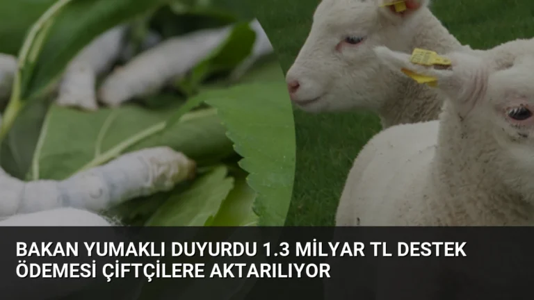 Bakan Yumaklı Duyurdu 1.3 Milyar TL Destek Ödemesi Çiftçilere Aktarılıyor