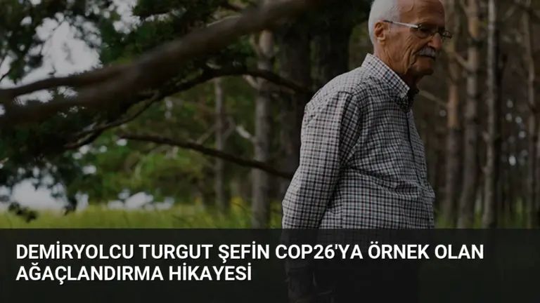 Demiryolcu Turgut Şefin COP26’ya Örnek Olan Ağaçlandırma Hikayesi