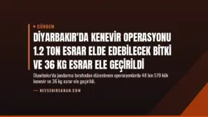 Diyarbakır’da Kenevir Operasyonu 1.2 Ton Esrar Elde Edebilecek Bitki ve 36 Kg Esrar Ele Geçirildi