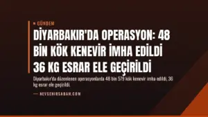 Diyarbakır’da Operasyon: 48 Bin Kök Kenevir İmha Edildi 36 Kg Esrar Ele Geçirildi