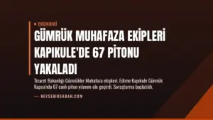 Gümrük Muhafaza Ekipleri Kapıkule’de 67 Pitonu Yakaladı