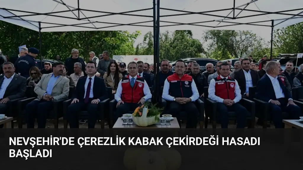 Nevşehir'de Çerezlik Kabak Çekirdeği Hasadı Başladı