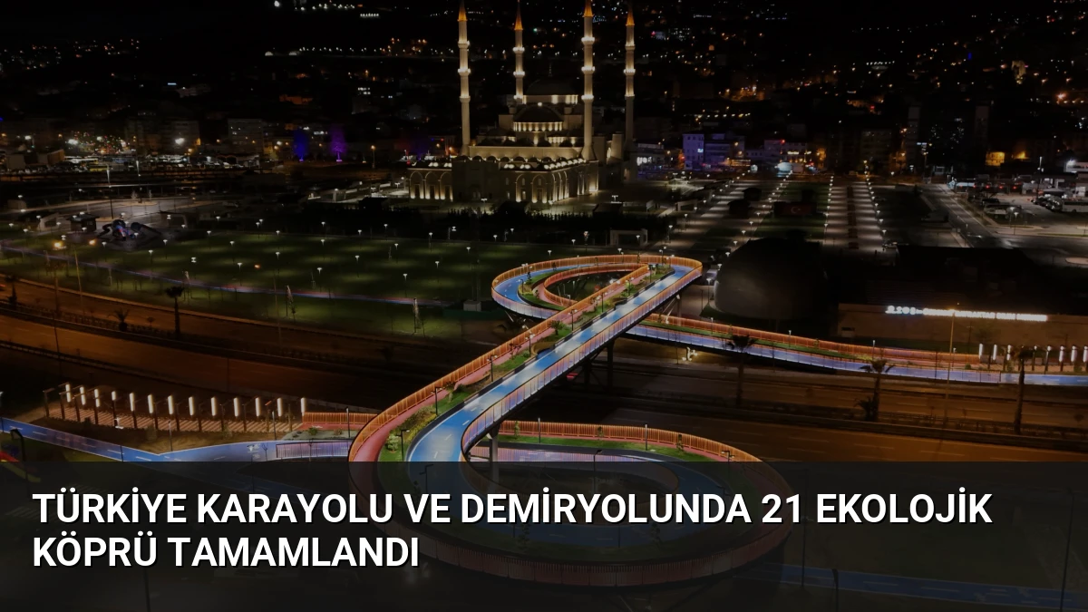 Türkiye Karayolu ve Demiryolunda 21 Ekolojik Köprü Tamamlandı